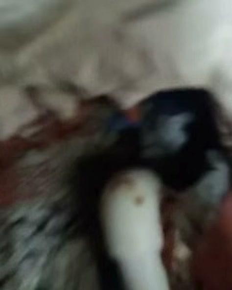 Kâğıthane Yeşilce su tesisatı saha görseli — ek 2
