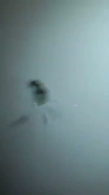 Sarıyer Kireçburnu Mutfak Koku Giderme Desteği | Gider, kaçak ve basınç birlikte