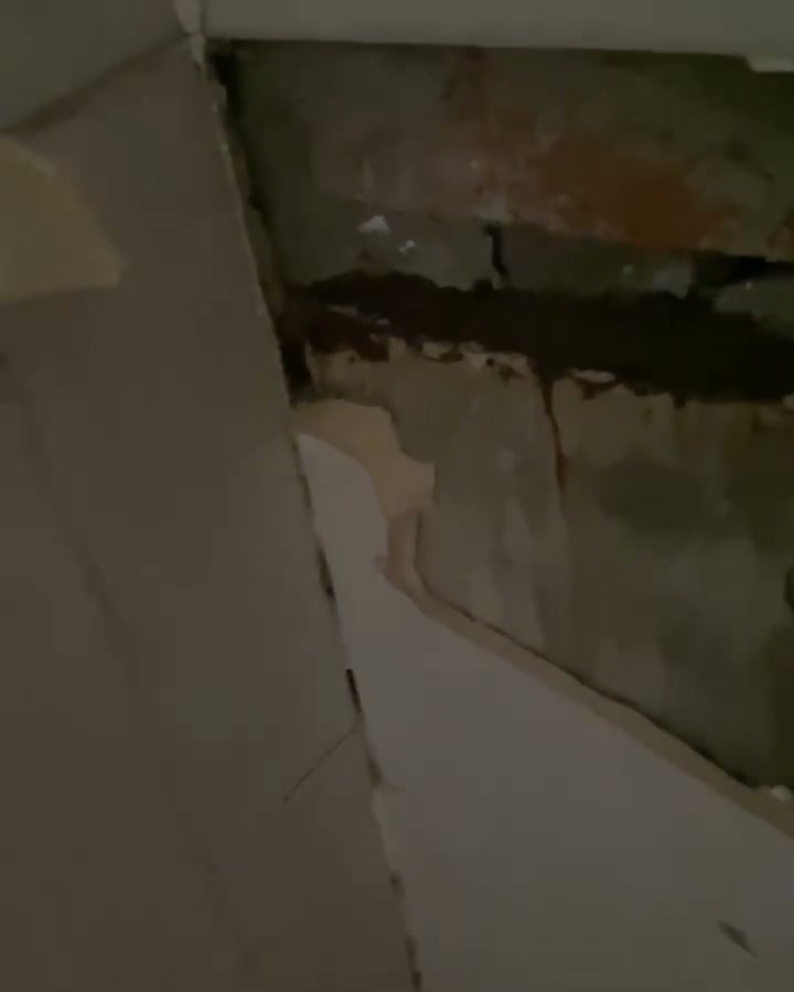 Şişli 19 Mayıs — Banyo Süzgeci Tıkanıklığı | Tekrarlayan arızaya karşı önlem odaklı