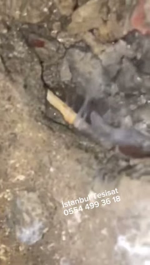 Sarıyer Kazım Karabekir Tıkalı WC Açma Desteği | Gider, kaçak ve basınç birlikte
