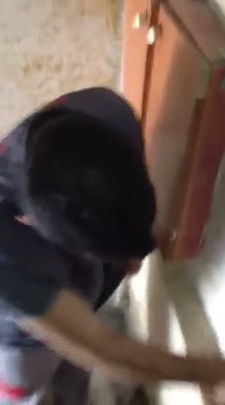 Fatih Kocamustafapaşa su tesisatı saha görseli — ek 2