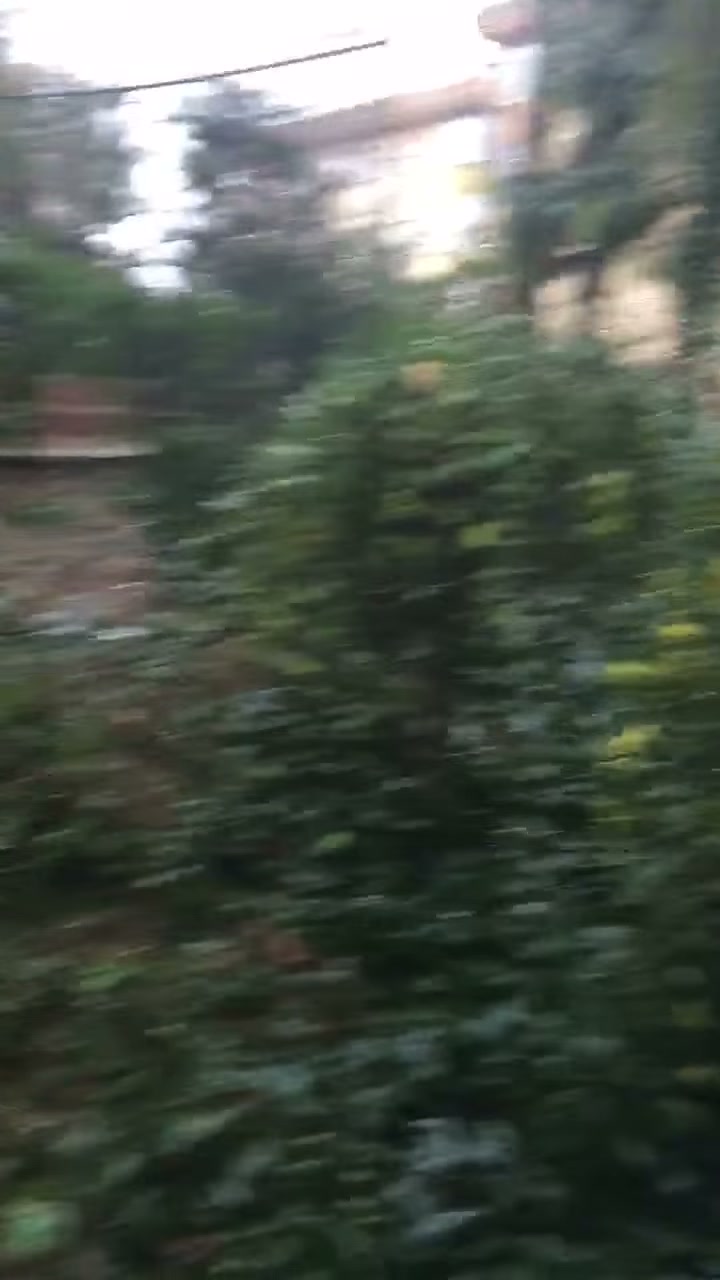 Kâğıthane Mehmet Akif Ersoy çevresinde Duvar İçi Su Kaçağı Tespiti | Mahalle ölçeğinde saha bilgisi