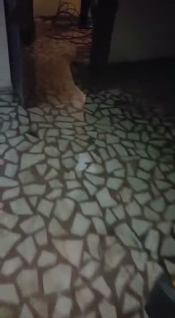 Zeytinburnu Gökalp adresinde İş Yeri Açılış Öncesi Tesisat | Randevu ve acil öncelik
