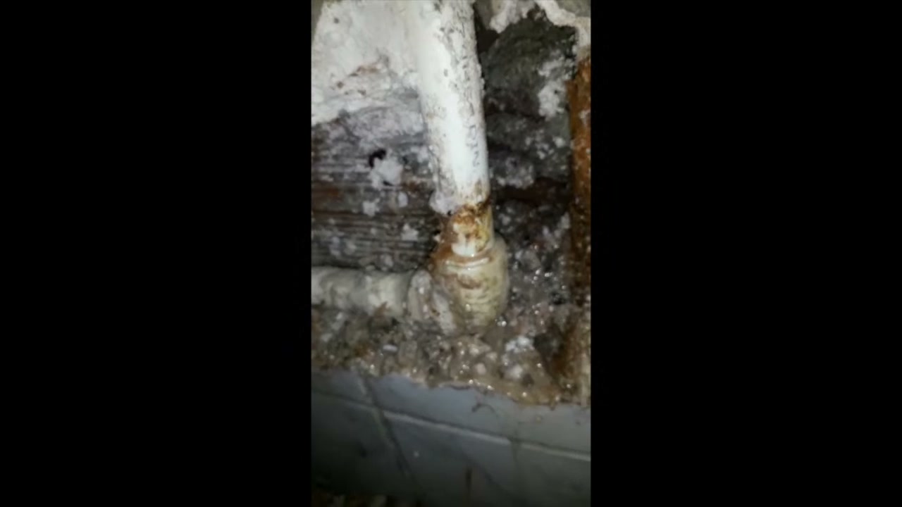 Sarıyer İstinye Gizli Su Kaçağı Arama Desteği | Gider, kaçak ve basınç birlikte